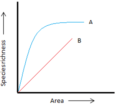 Graph is rectangular hyperbola indicates equation S = CAz within region species richness