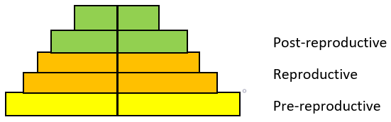 The population in which the birth rate is approximately equal to the death rate