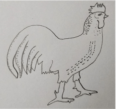 Figure represents White leghorn common poultry bird with an average egg