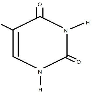 Tìm vị trí của uracil trong DNA ổn định hơn từ sơ đồ đã cho