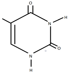 Thymine is nitrogenous base with presence of methyl group attached to 5th carbon atom