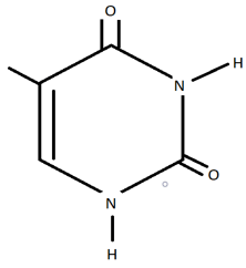 Sơ đồ cơ sở nitơ Thymine