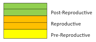 The age pyramid indicates an expanding population - option c