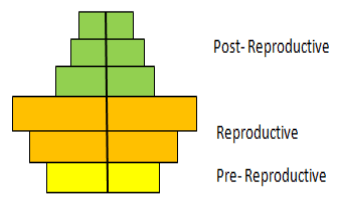 The age pyramid indicates an expanding population - option d