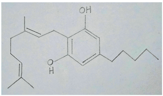 Skeletal structure of the cannabinoid molecule