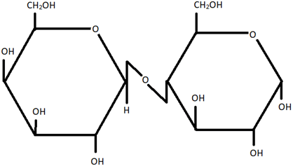 Glucose & Galactose are produced formed when lactose is hydrolysed