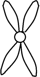 Chromosome Y is the chromosome with the least number of genes in them