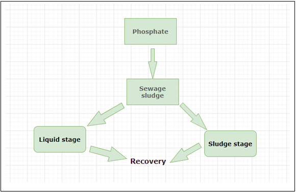 The following is the correct phosphate pathway - option a