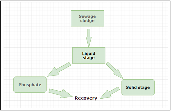 The following is the correct phosphate pathway - option b