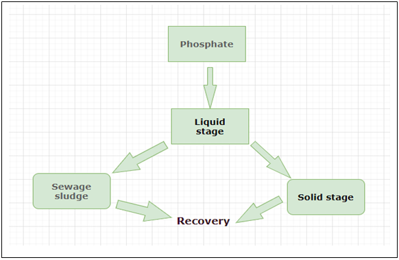 The following is the correct phosphate pathway - option c