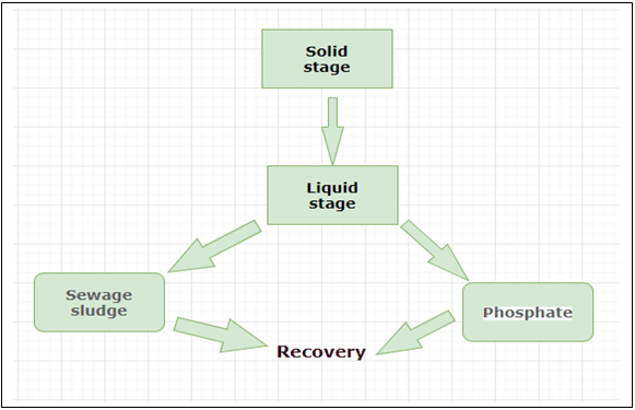 The following is the correct phosphate pathway - option d