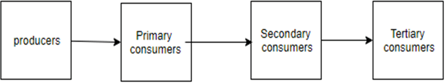 Pollution Control Questions and Answers Biology Diagrams