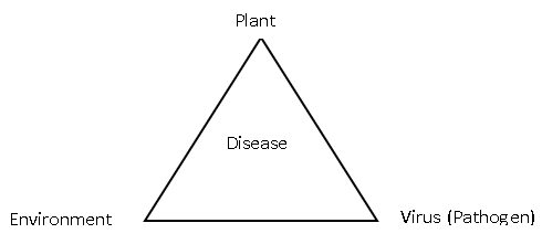 What type of interaction between plant and virus is shown in the diagram