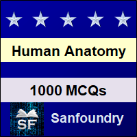 Human Anatomy and Physiology MCQ - Multiple Choice Questions and Answers