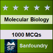 Molecular Biology MCQ - Multiple Choice Questions and Answers