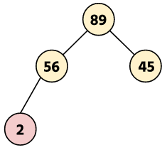 Binary Tree - Insert a new node 2