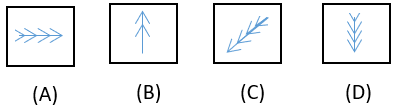 Figure Classification - Set 2 - Q5