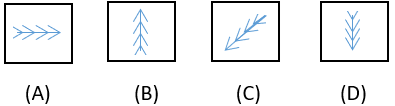 Figure Classification - Set 3 - Q5