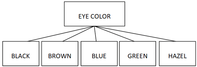 different varieties of eye colors