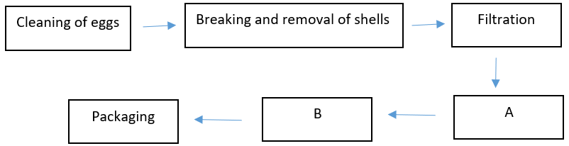 Identify the missing step ( A and B) in egg powder production. 