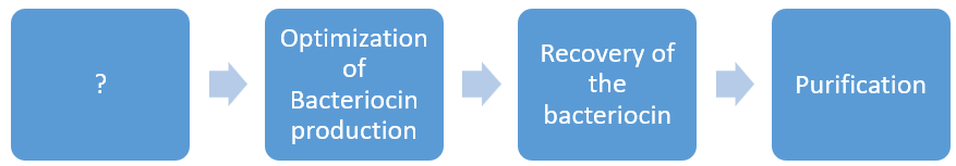 bacteriocin production process