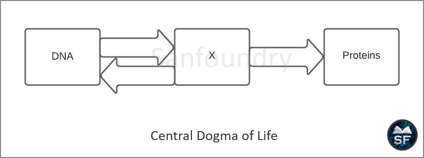 Central Dogma of Life