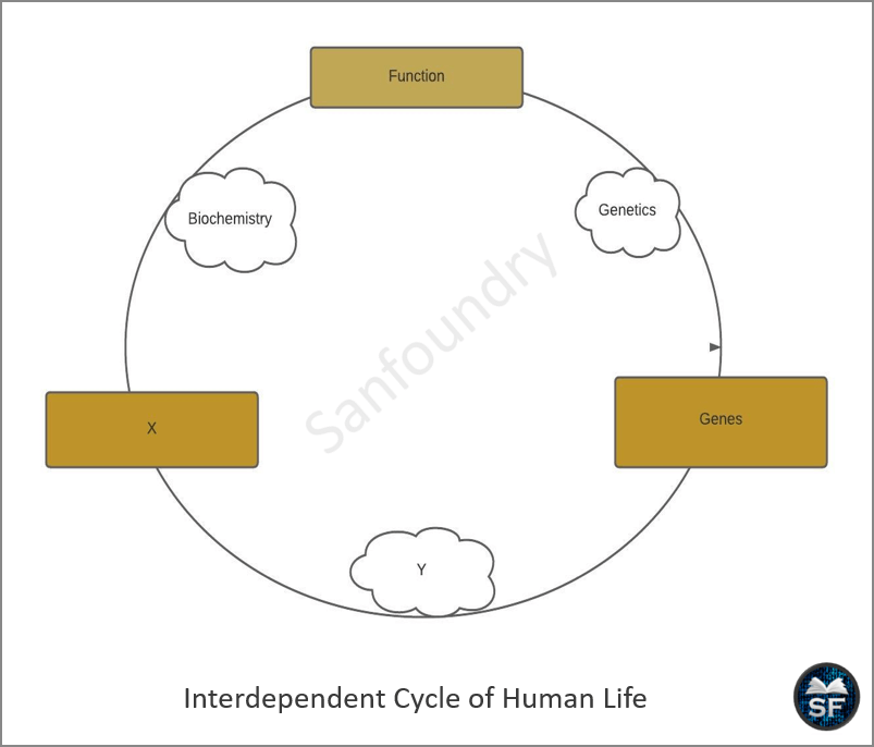 Interdependent Cycle of Human Life